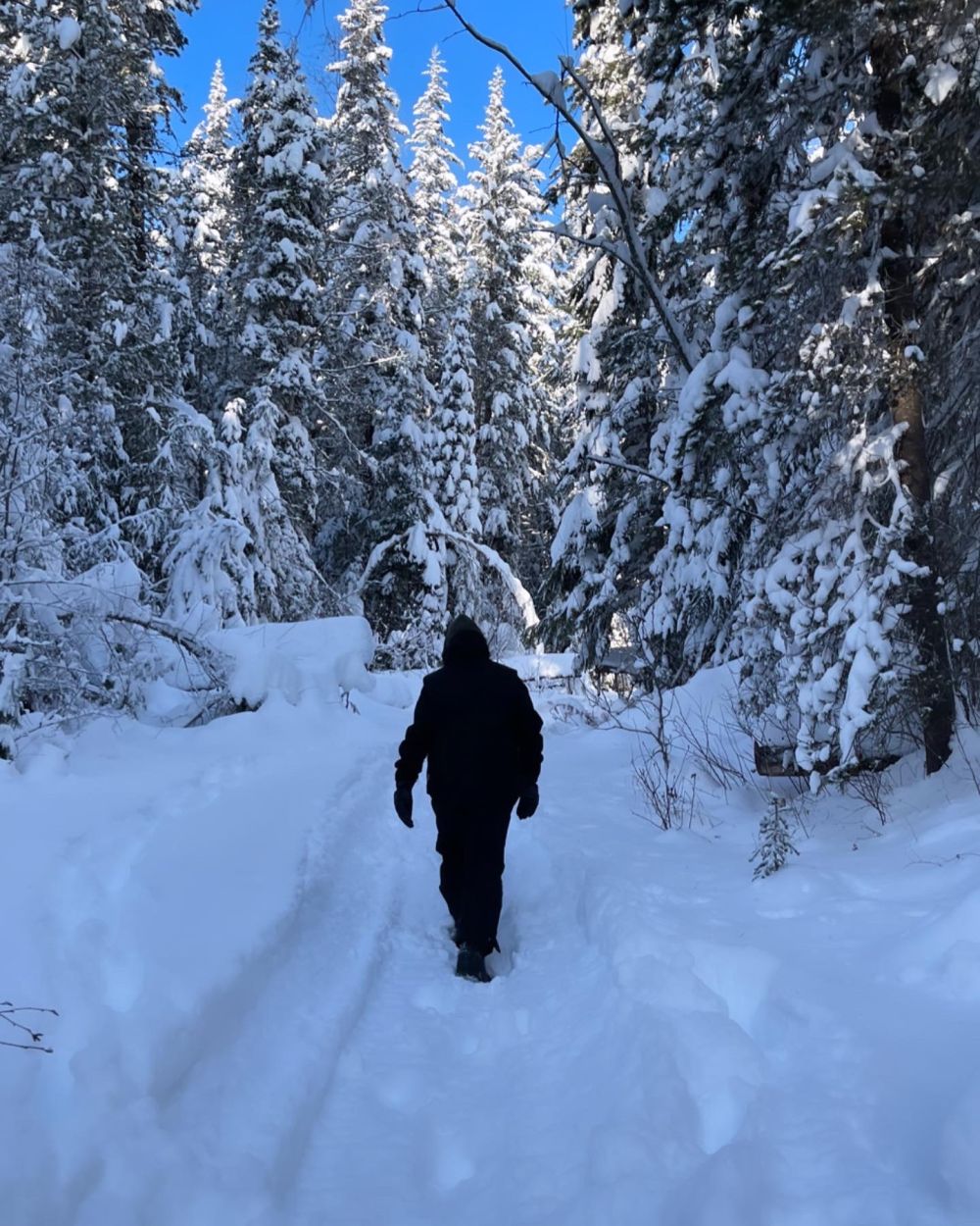Snowshoeing on Mouse Mountain